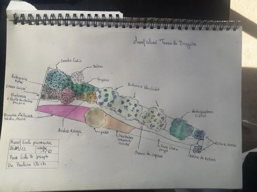 Plan de conception de jardin