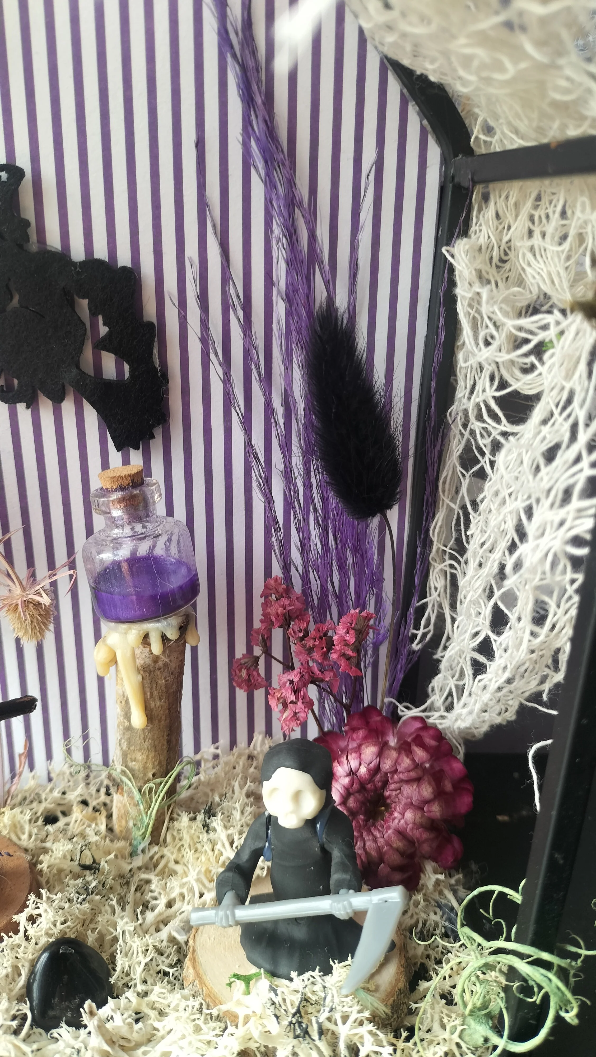 IMG20250908112547.jpg