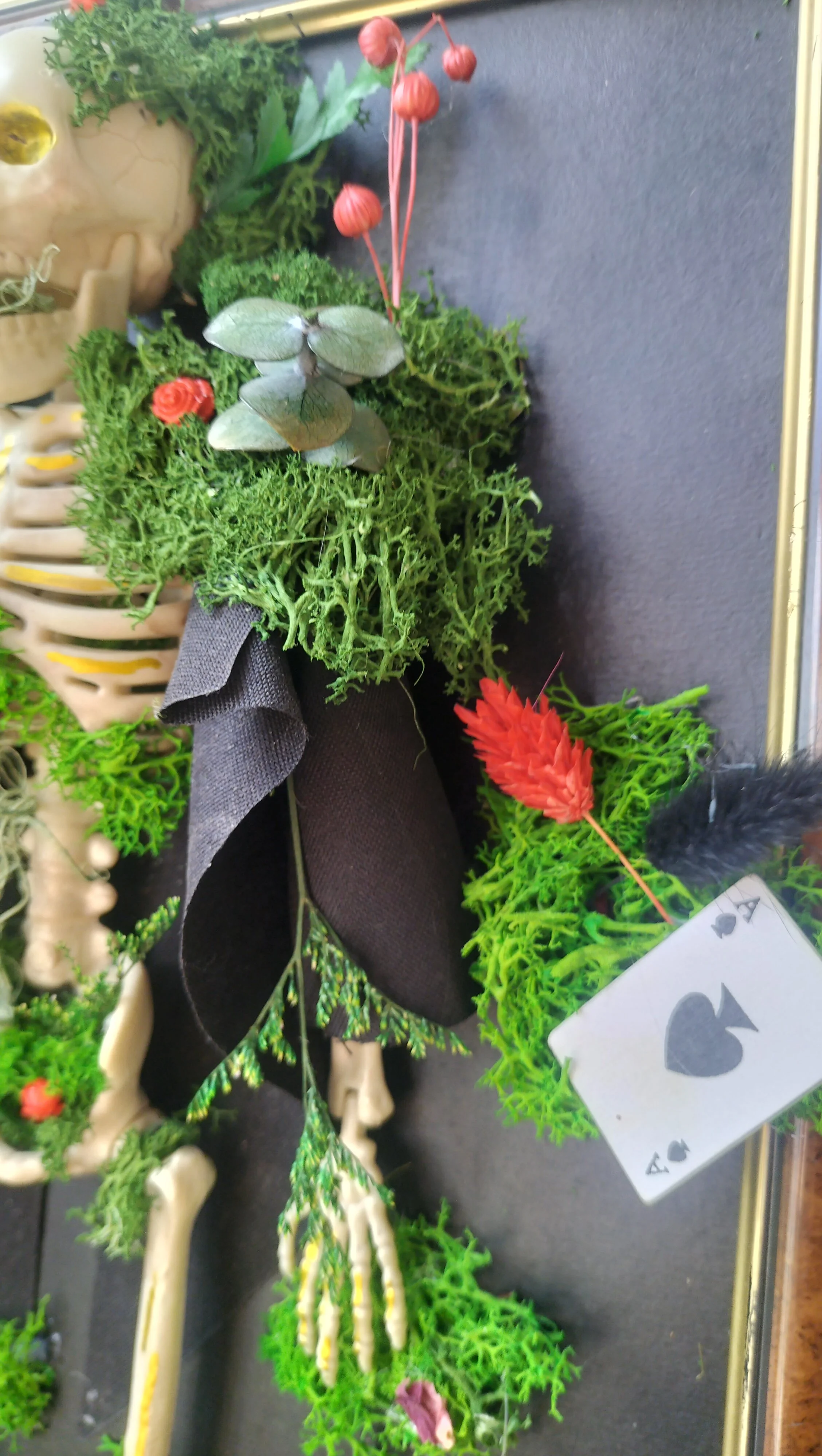 IMG20250915105031.jpg