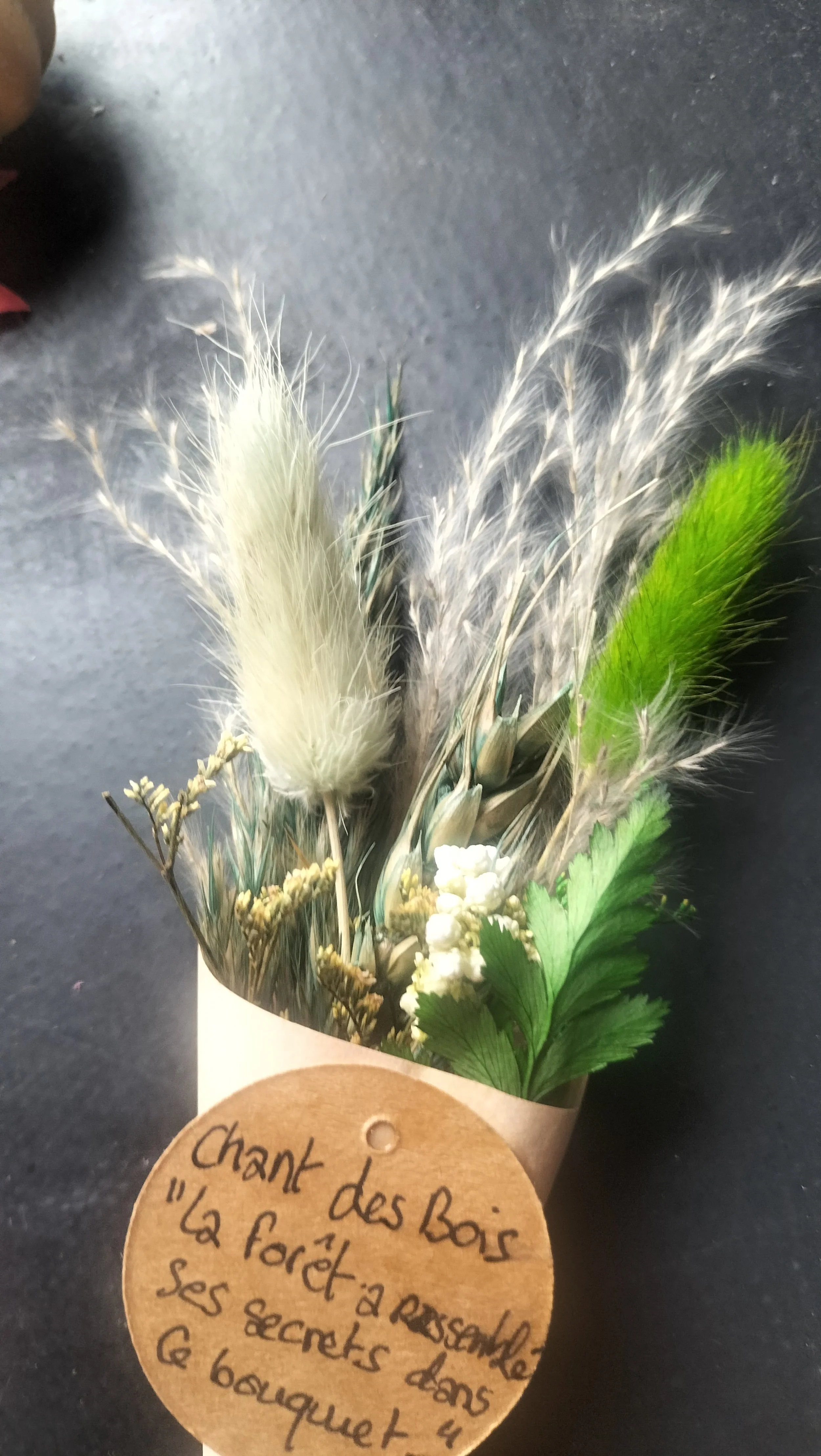IMG20250924102515.jpg