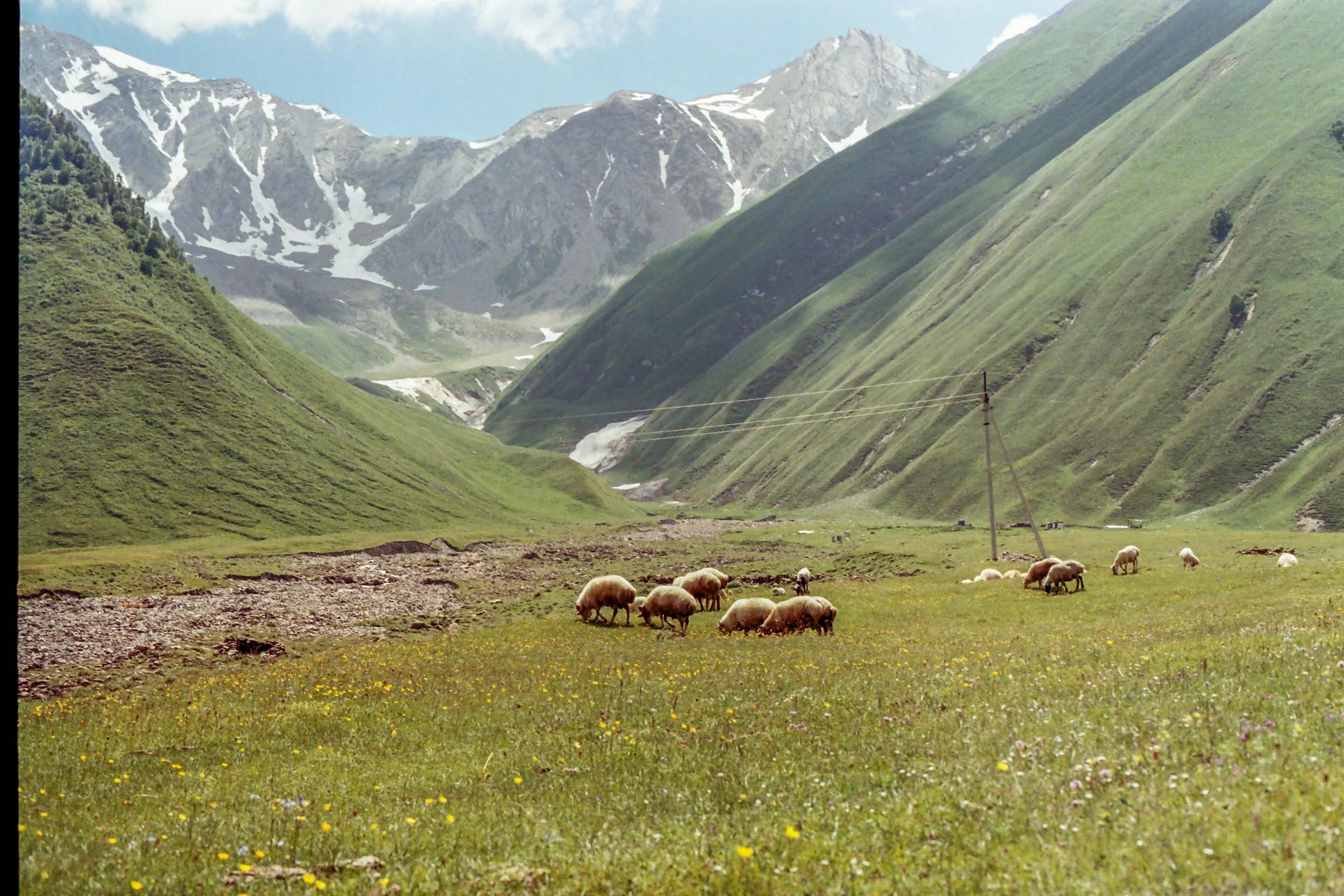 r001-012.jpg