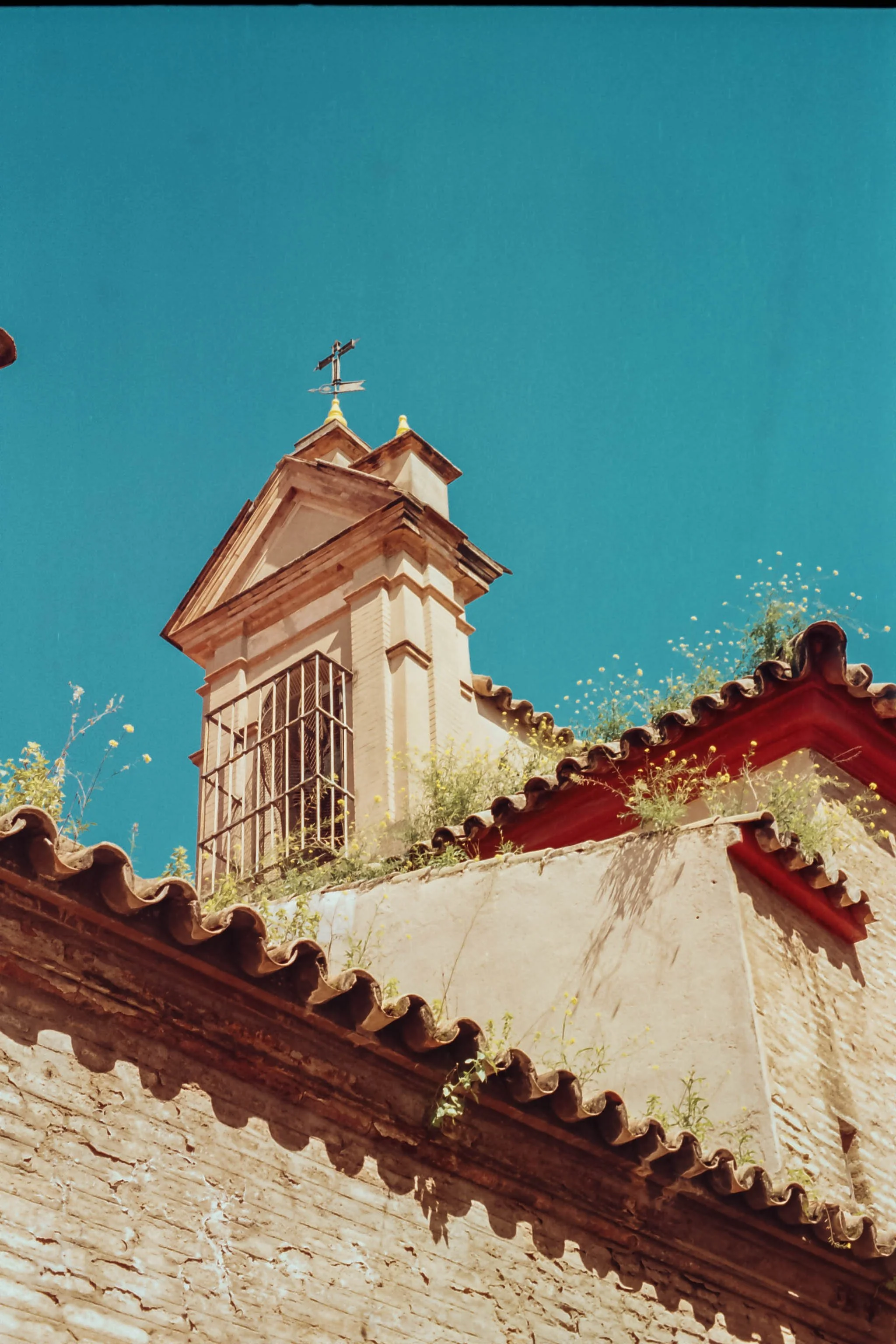 r001-004.jpg