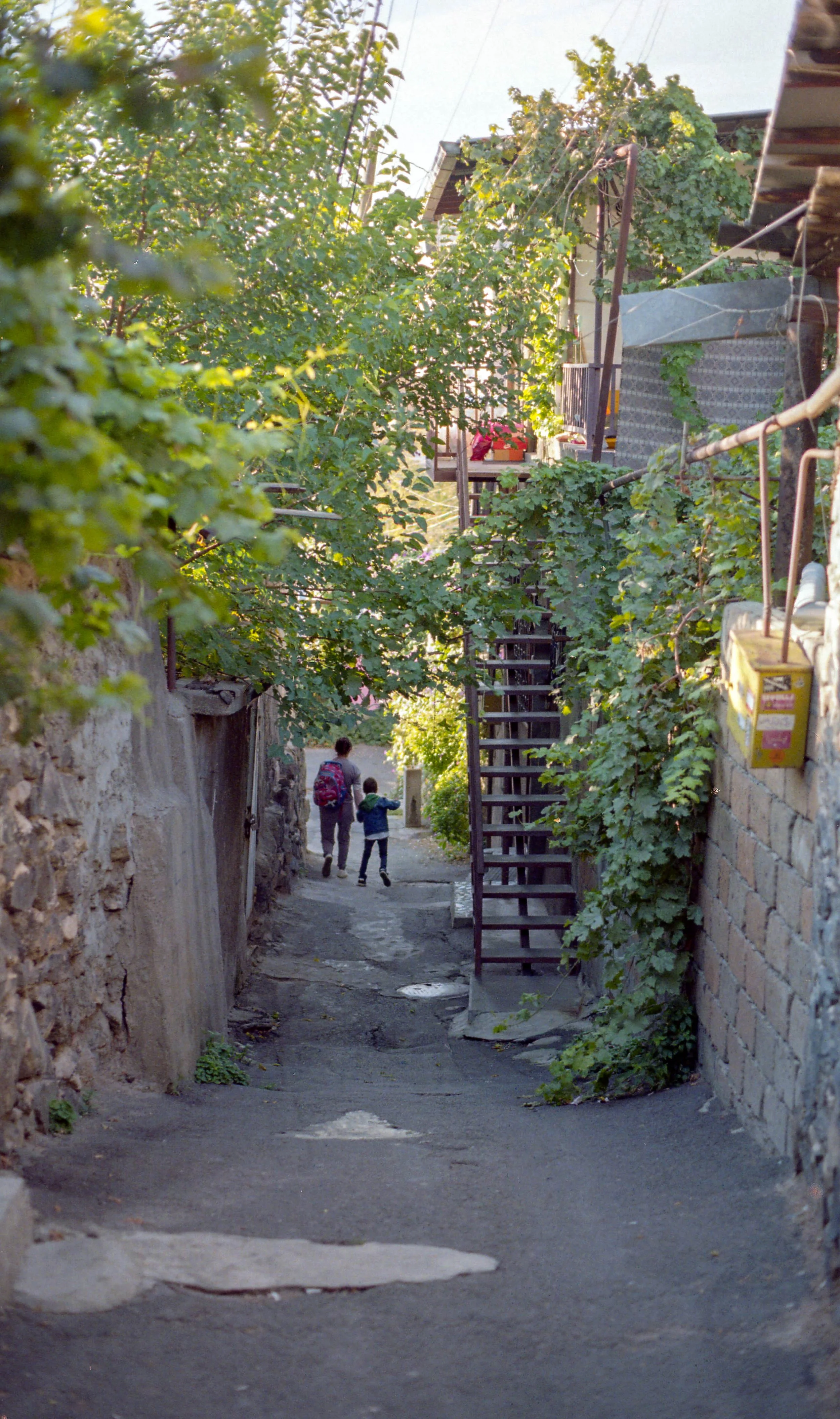 img810.jpg