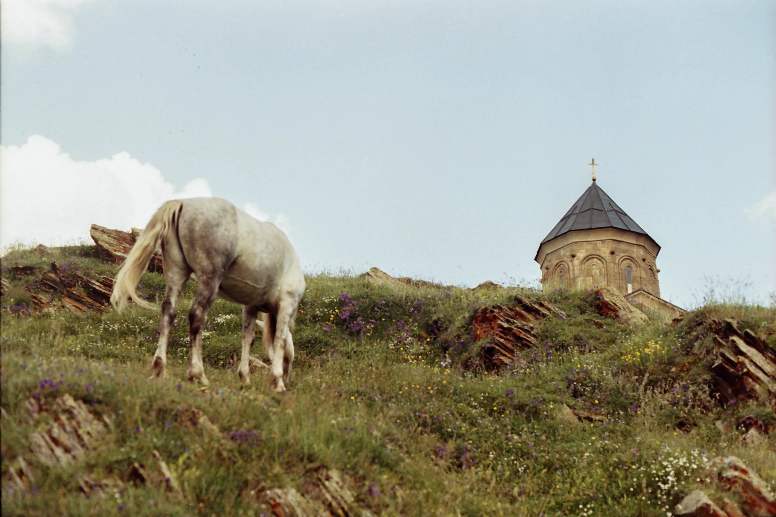 r001-009.jpg