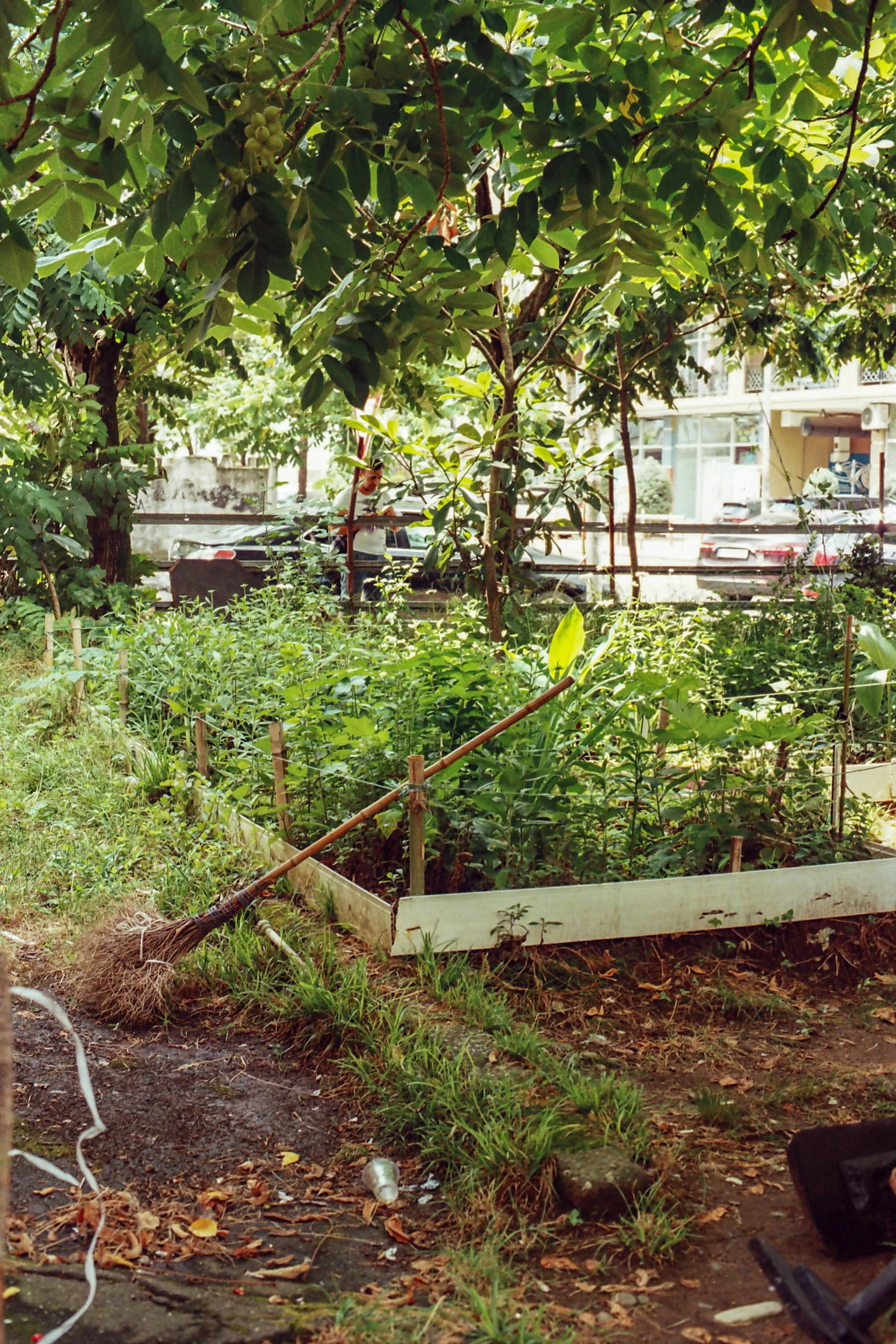 r003-002.jpg