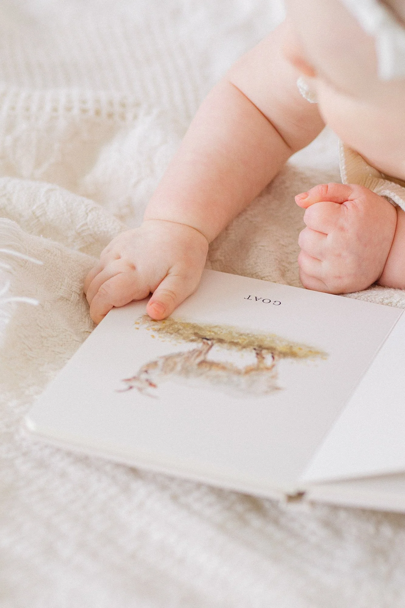 closeup image of baby's hands on 