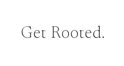 Christi Lynn Photography has invested in coaching by renowned photographer, Laura Esmond, through her coaching program Get Rooted to serve clients at a higher, more professional level.