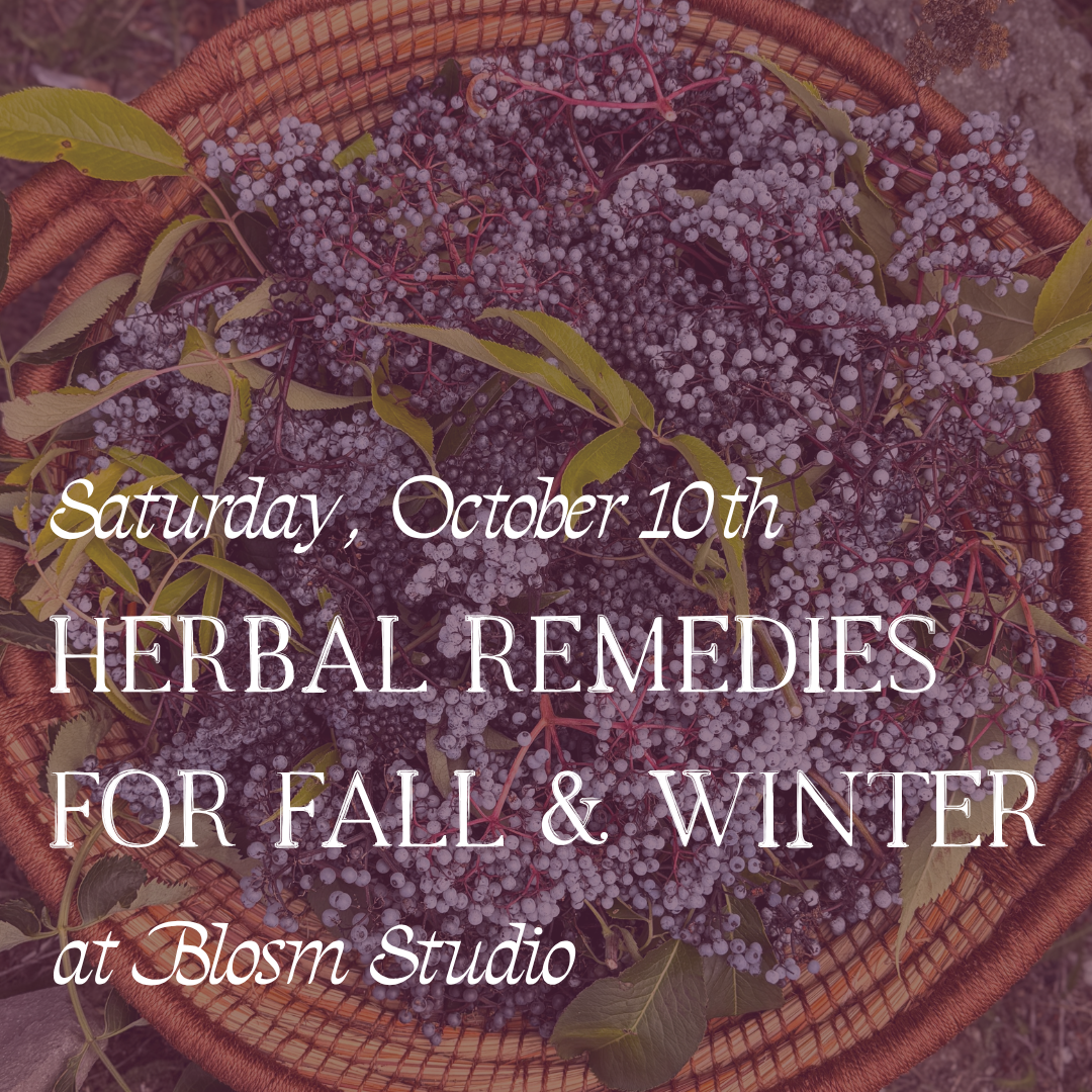 October 10th Class: Herbal Remedies for Fall & Winter