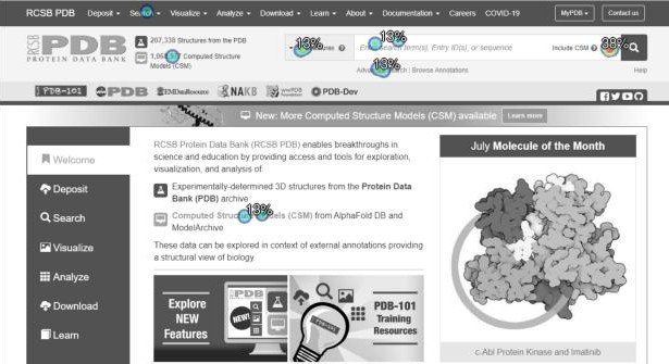 Results of a first click test showing users trying to click 7 places to accomplish a single task