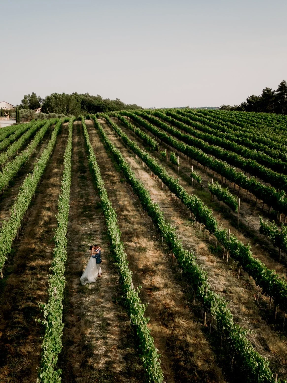 A quiet moment in the vineyards, just after the ceremony.
One of the things we love most about wedding venues in Tuscany is the space they give a couple
to breathe. A few minutes away from everyone, surrounded by vines, light, and that feeling of
fin