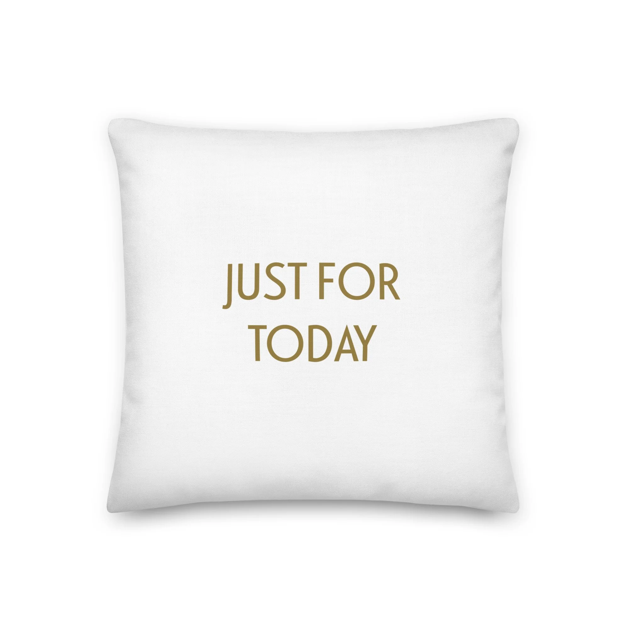 “Just For Today” Consciousness Realm meditation pillow
