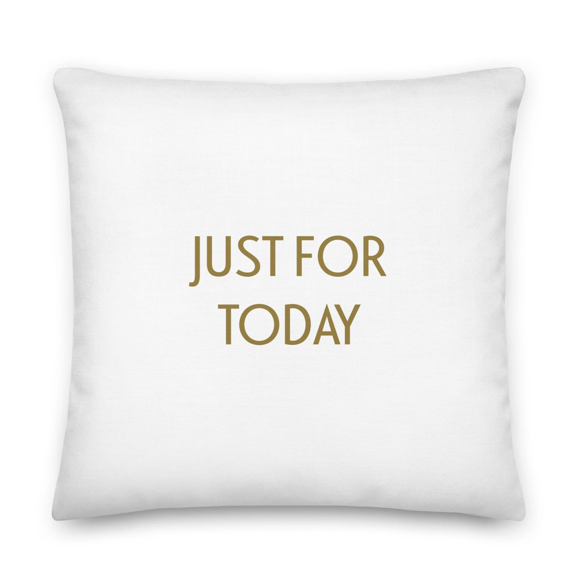 “Just For Today” Consciousness Realm meditation pillow