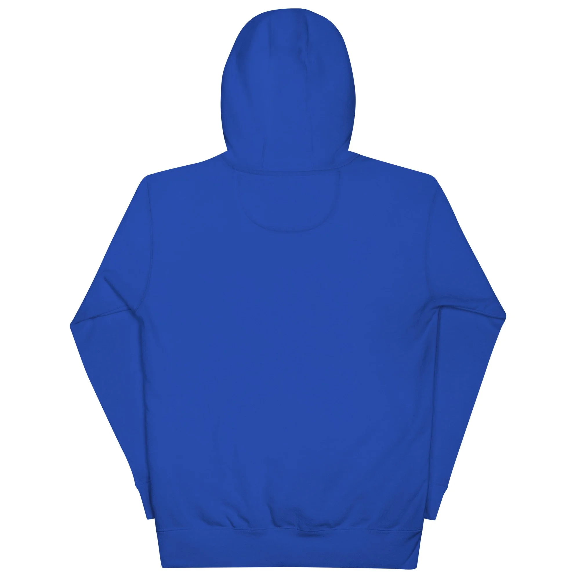 Your Answer is Within Consciousness Realm Hoodie
