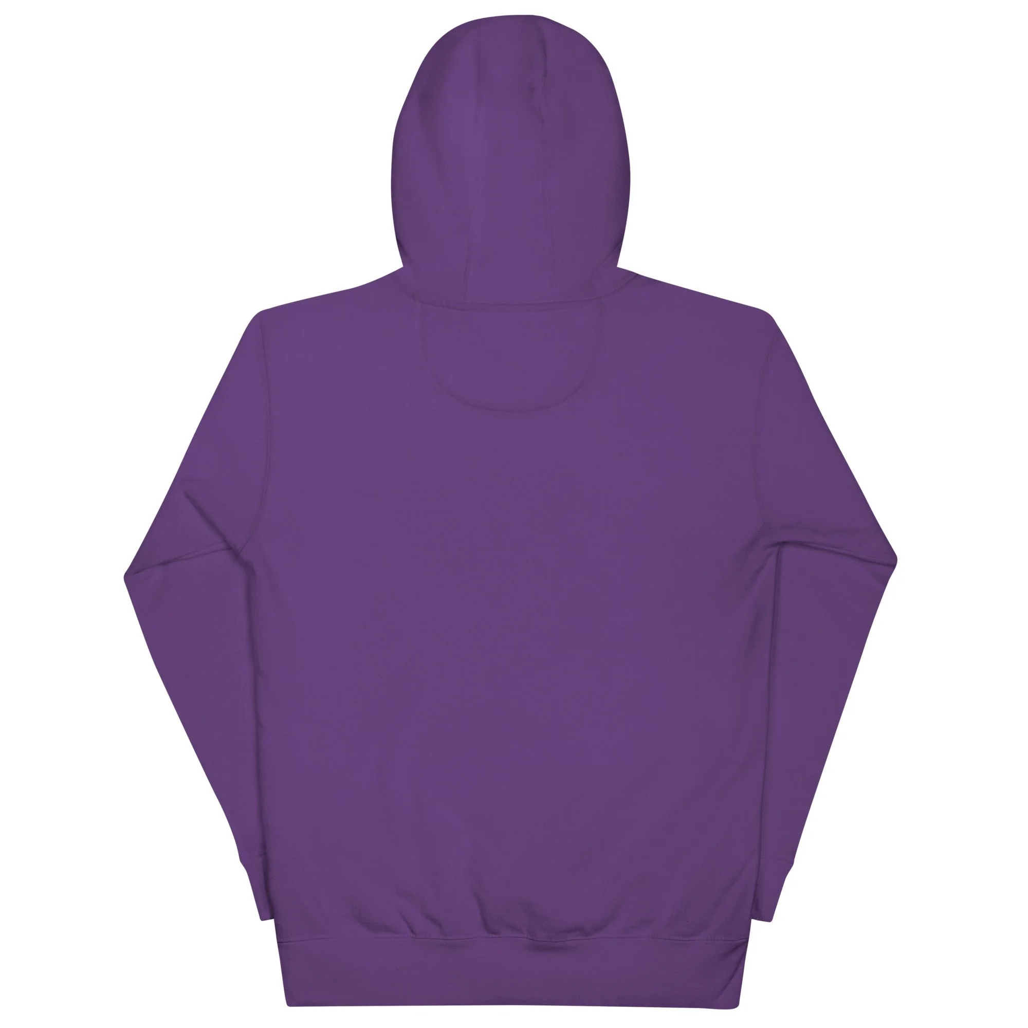 Your Answer is Within Consciousness Realm Hoodie