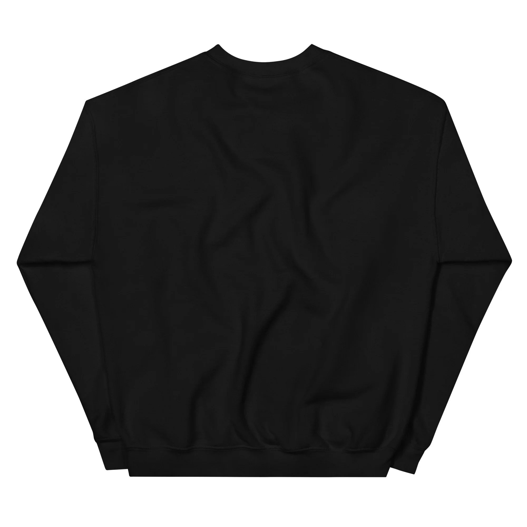 Consciousness Realm Anchor Unisex Sweatshirt