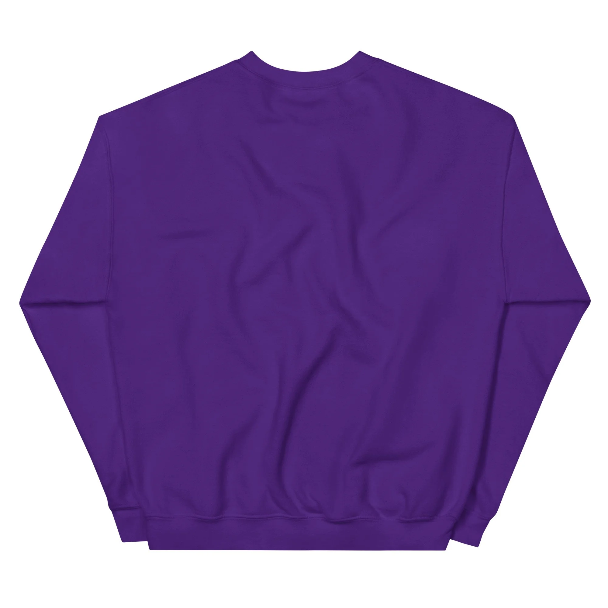Consciousness Realm Anchor Unisex Sweatshirt