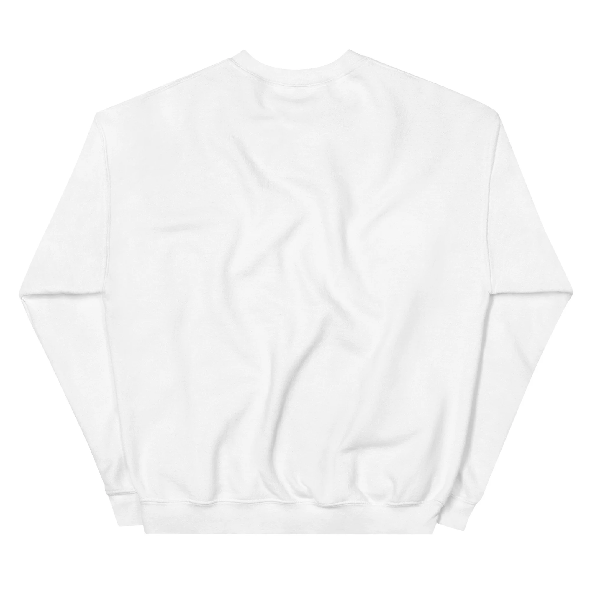 Consciousness Realm Anchor Unisex Sweatshirt