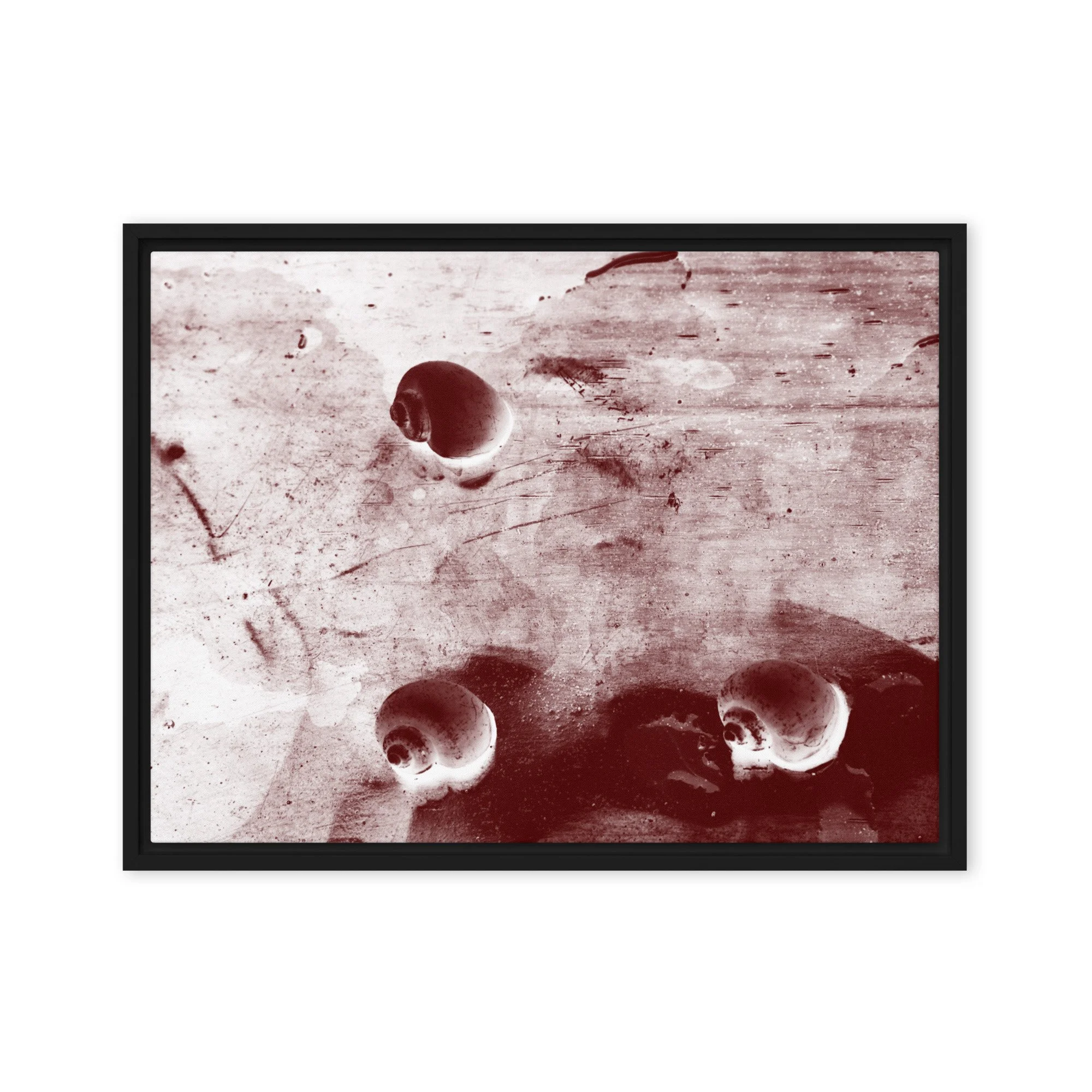 “Golden Apple Snails” (2011) Framed Art Print on Canvas