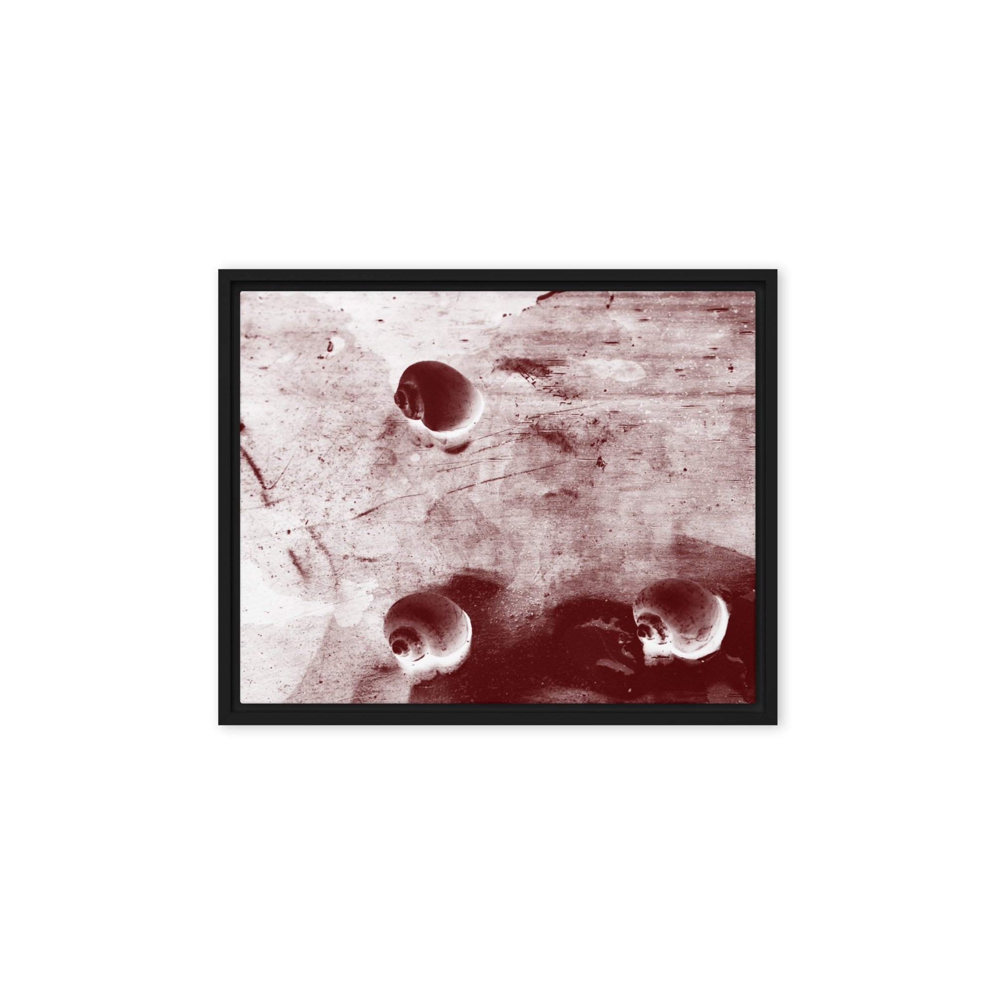“Golden Apple Snails” (2011) Framed Art Print on Canvas
