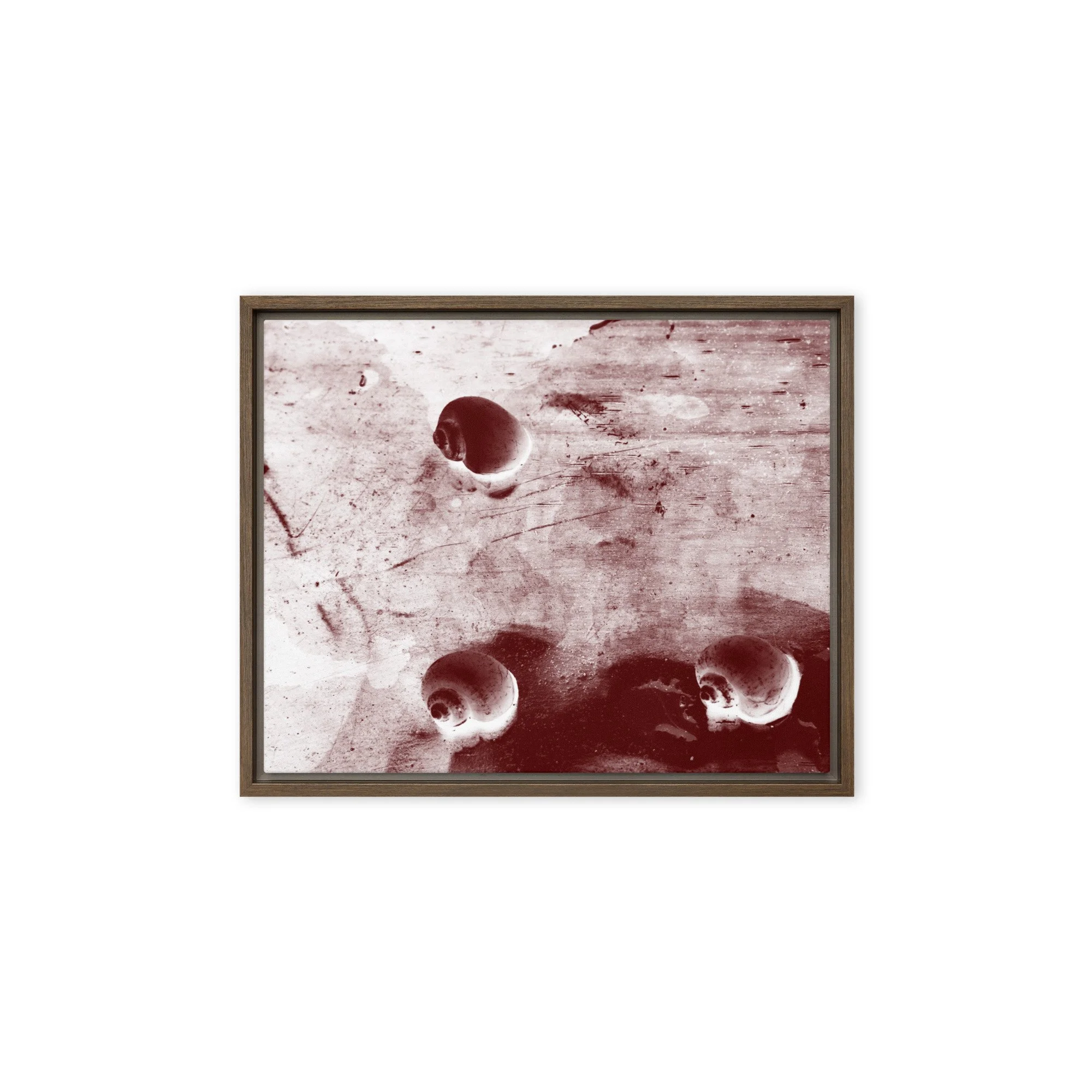 “Golden Apple Snails” (2011) Framed Art Print on Canvas