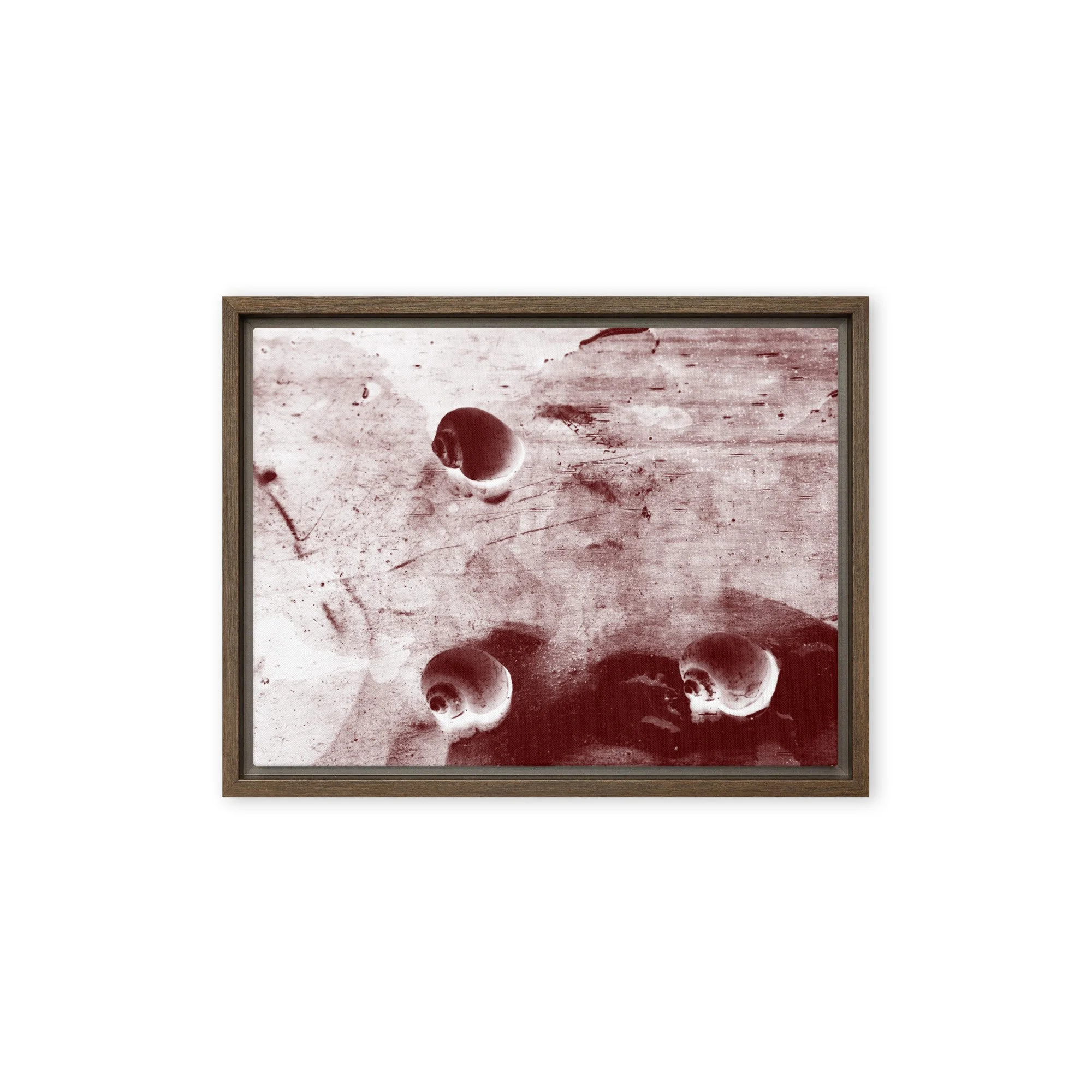 “Golden Apple Snails” (2011) Framed Art Print on Canvas
