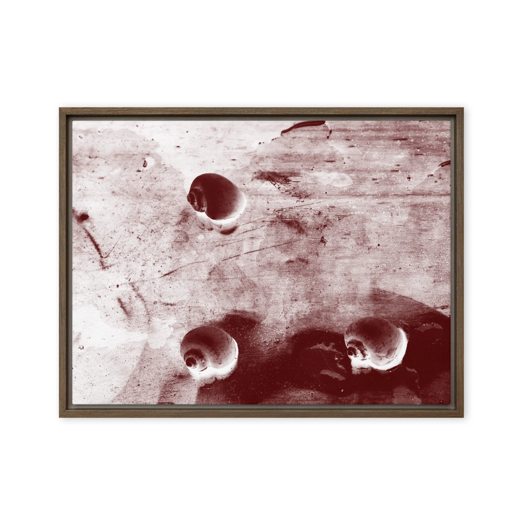 “Golden Apple Snails” (2011) Framed Art Print on Canvas