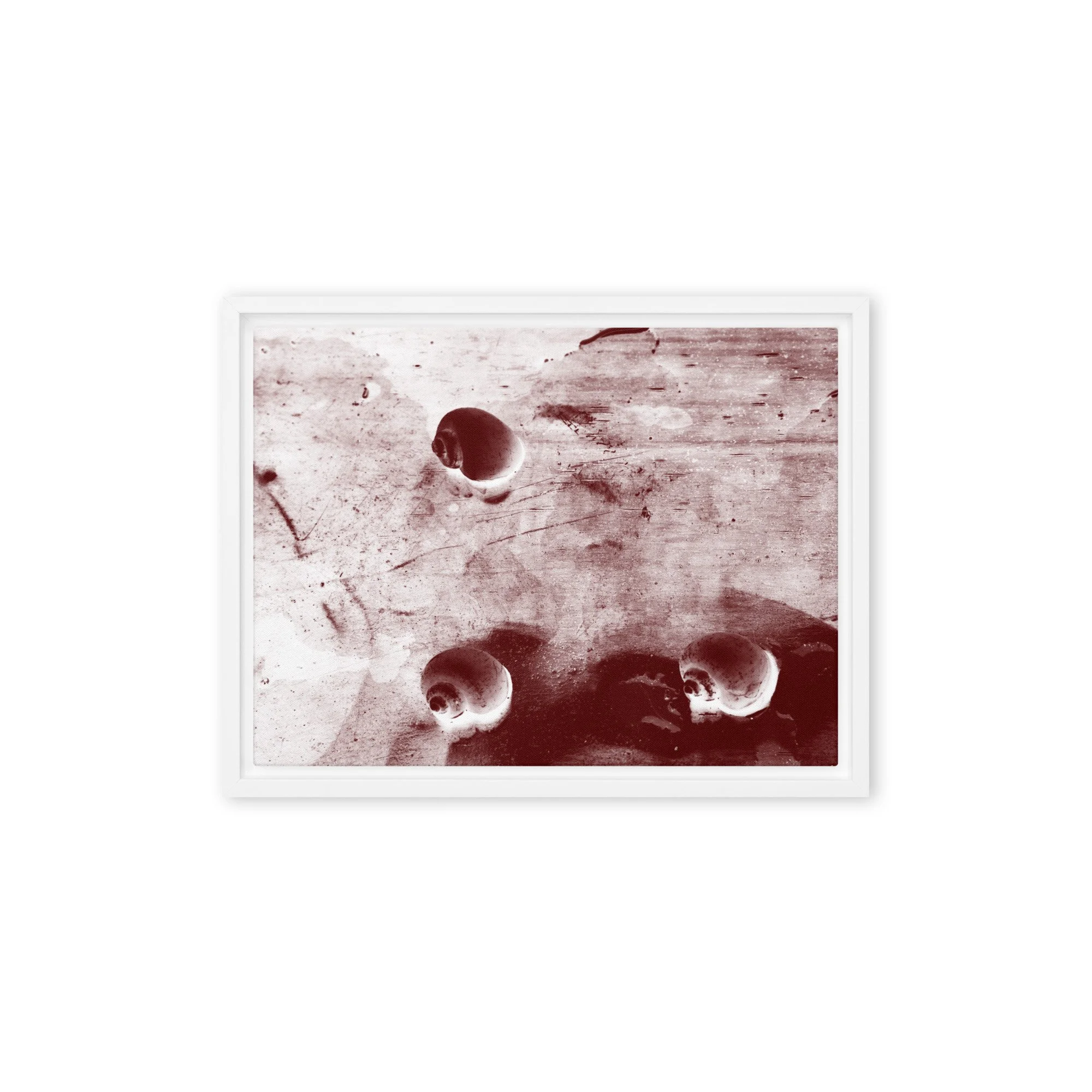 “Golden Apple Snails” (2011) Framed Art Print on Canvas