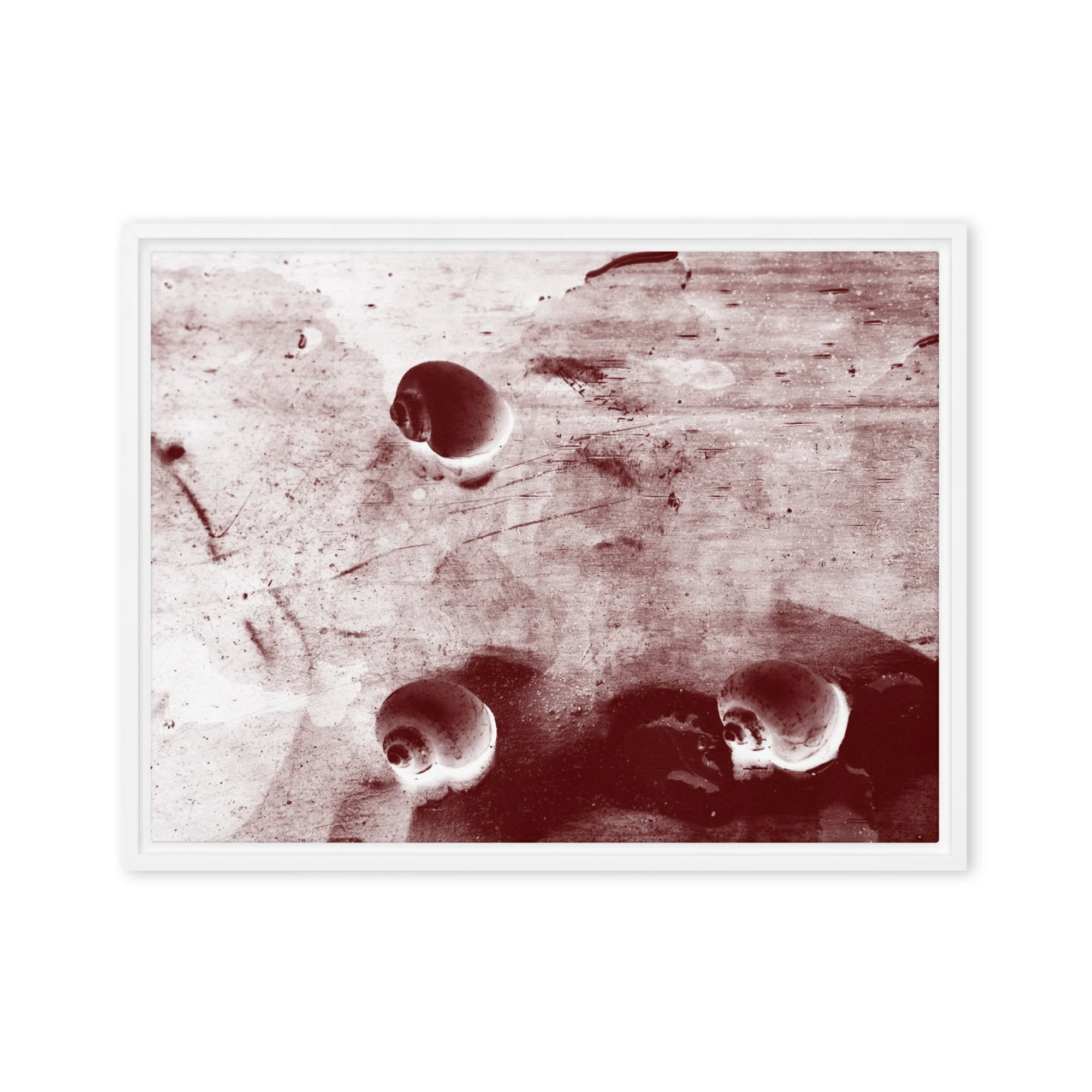 “Golden Apple Snails” (2011) Framed Art Print on Canvas