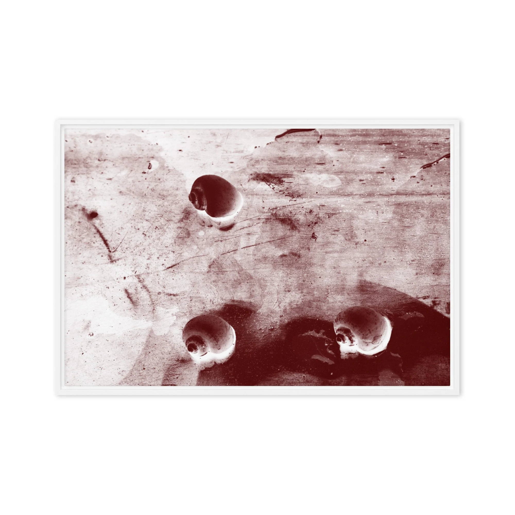 “Golden Apple Snails” (2011) Framed Art Print on Canvas