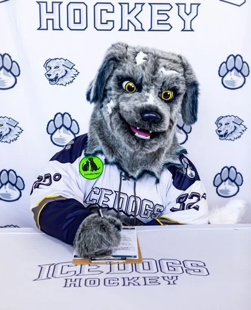 FIVE THINGS TO KNOW ABOUT CHILLY DOG