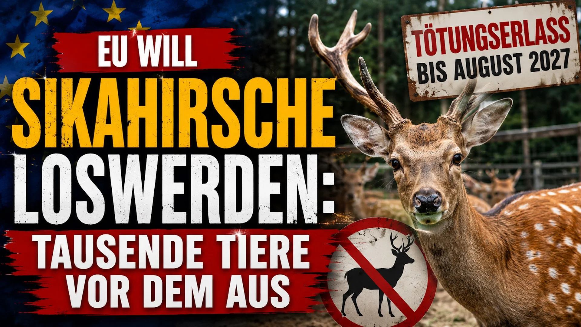 EU will Sikahirsche loswerden: Tausende Tiere vor dem Aus