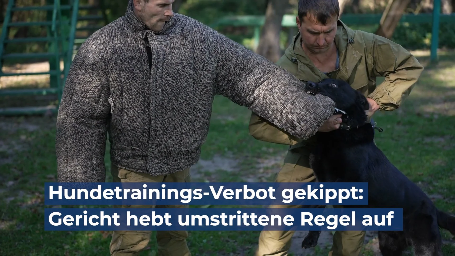 Hundetrainings-Verbot gekippt: Gericht hebt umstrittene Regel auf