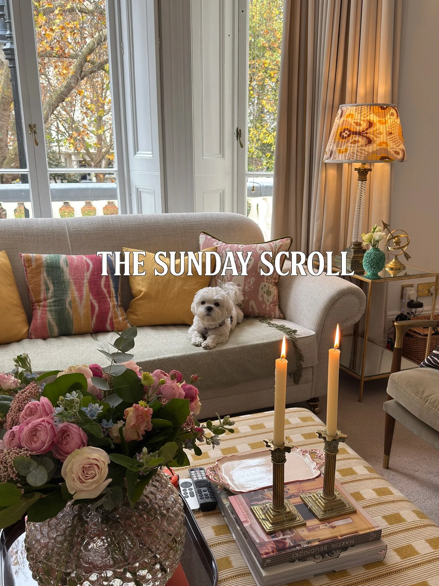 SUNDAY SCROLL ✴️

A soft Sunday at home. Leo supervising from the sofa, candles trying their best to feel like December, and my favourite lamp glowing in the corner (yes, similar available).
I have had a whirlwind of a week with my aunt visiting henc