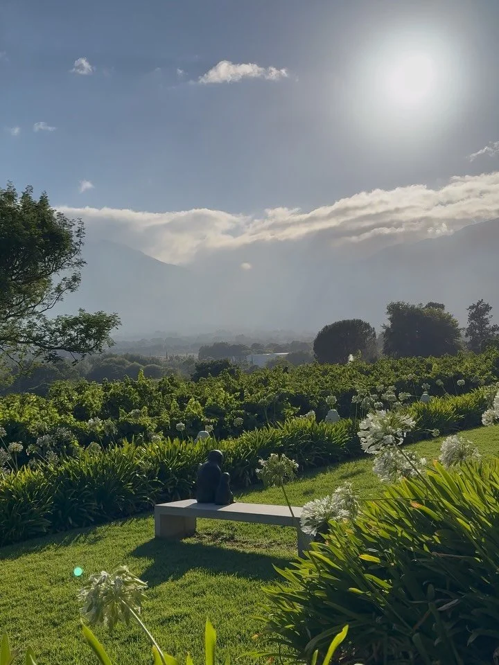 This past week in South Africa that didn&rsquo;t unfold quite as planned. At all.
Wildfires were our initial concern but a bacterial infection became the reality.

We stayed at Leeu Estate and 7 Koppies &mdash; very different from each other, both ca