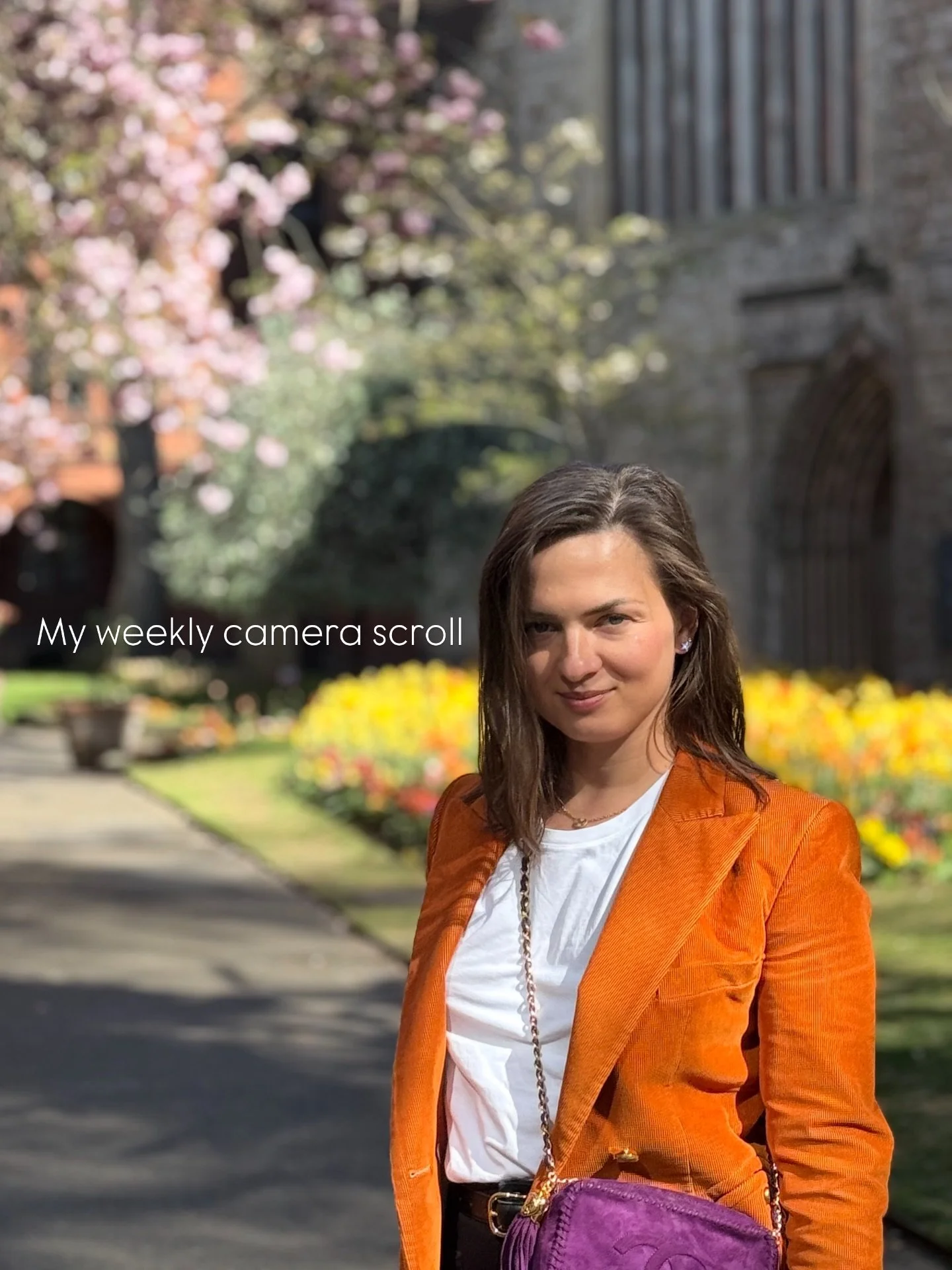 Sunday Scroll: Unpacking the Week's Highlights. Hint there is food, interiors, dogs and new additions to the shop. How was your week?