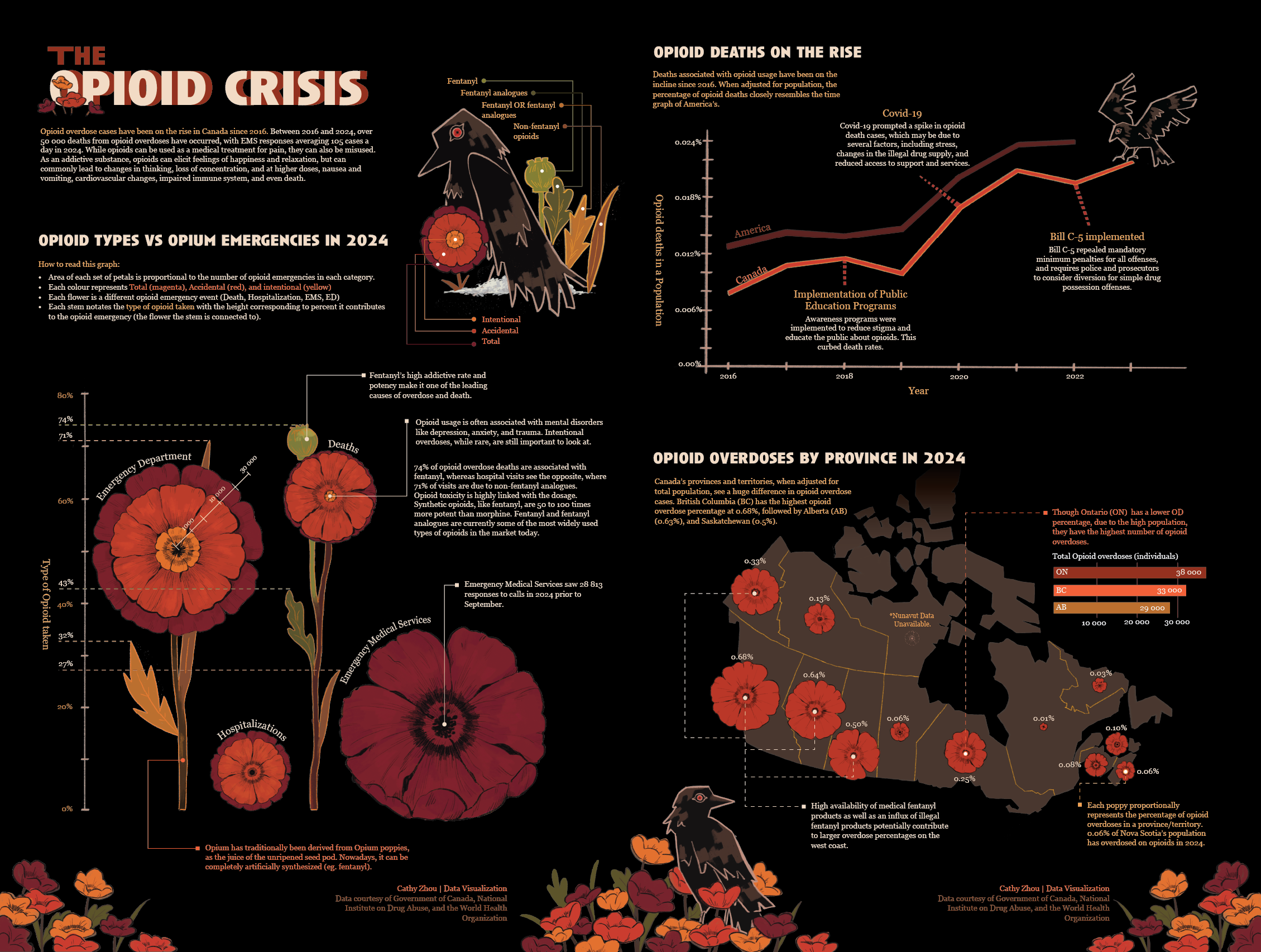 Infographic about the opioid crisis, showing a line graph of opioid deaths in America and Canada from 2016 to 2024, with illustrations of flowers representing different types of opioid emergencies, and notes on opioid overdose trends, practices, and 