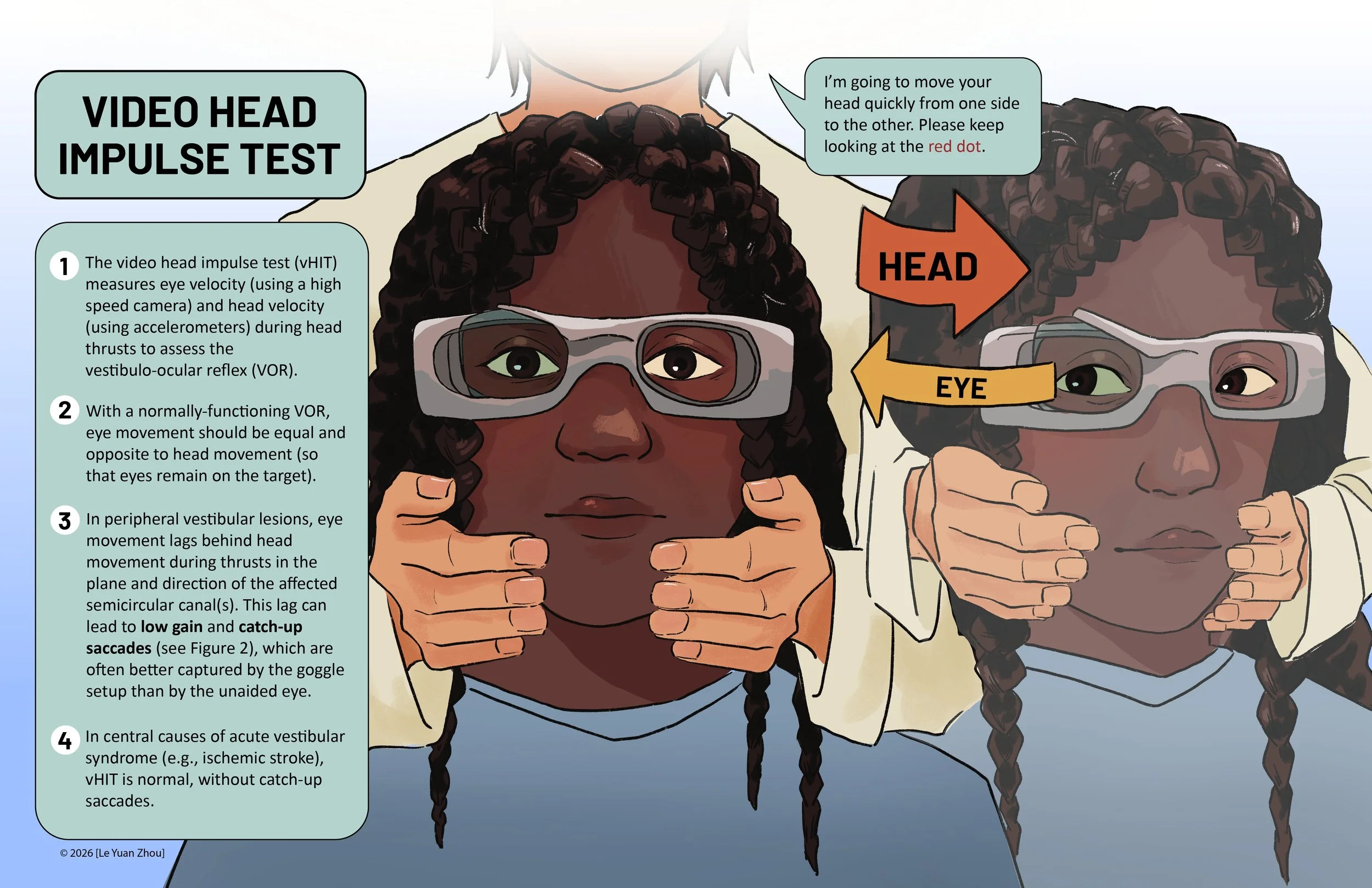 Illustration of two individuals with braided hair, wearing glasses, holding their heads with hands, and looking at each other. One person is giving instructions about a video head impulse test with speech bubbles indicating the steps.