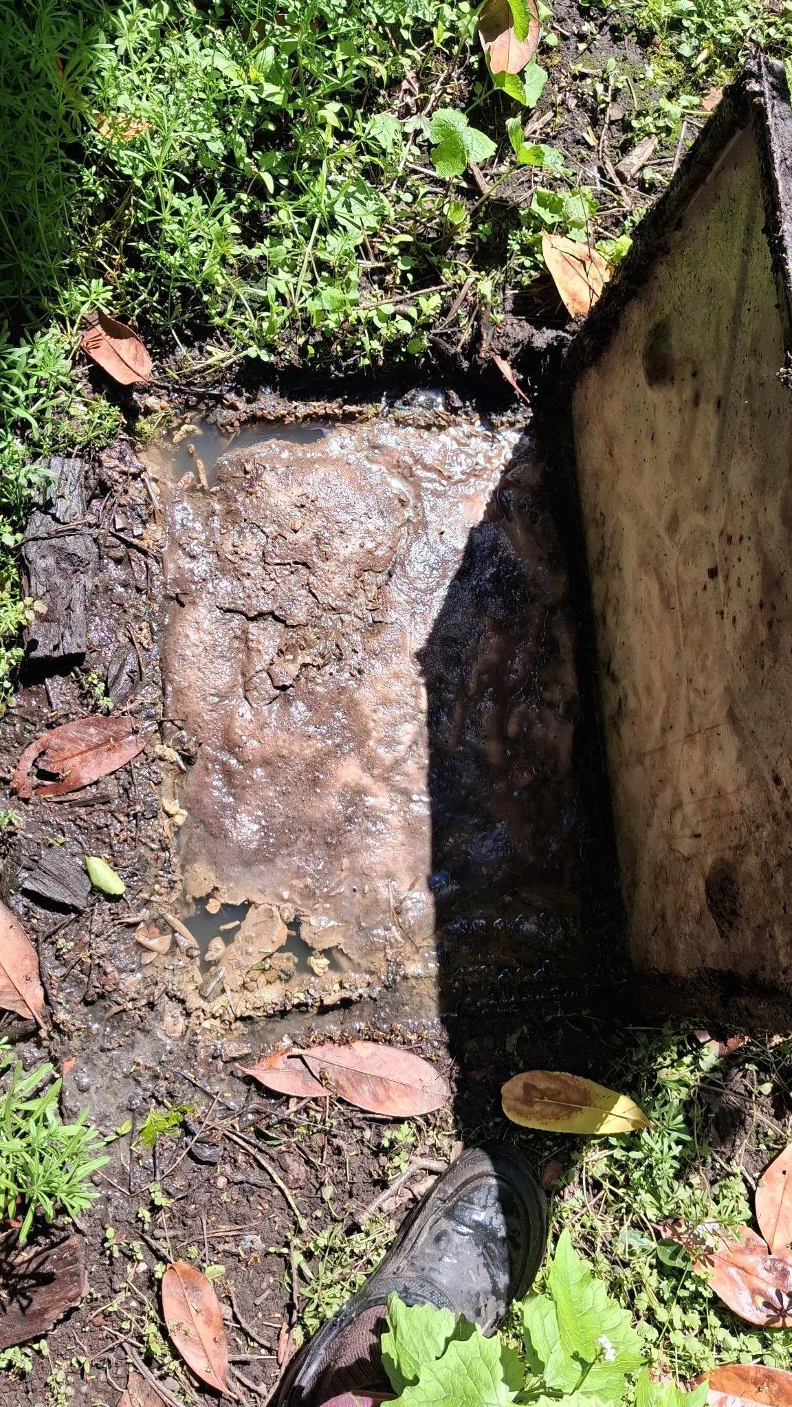 Environment Agency Compliance Site Visit - Misidentified Septic Tank System