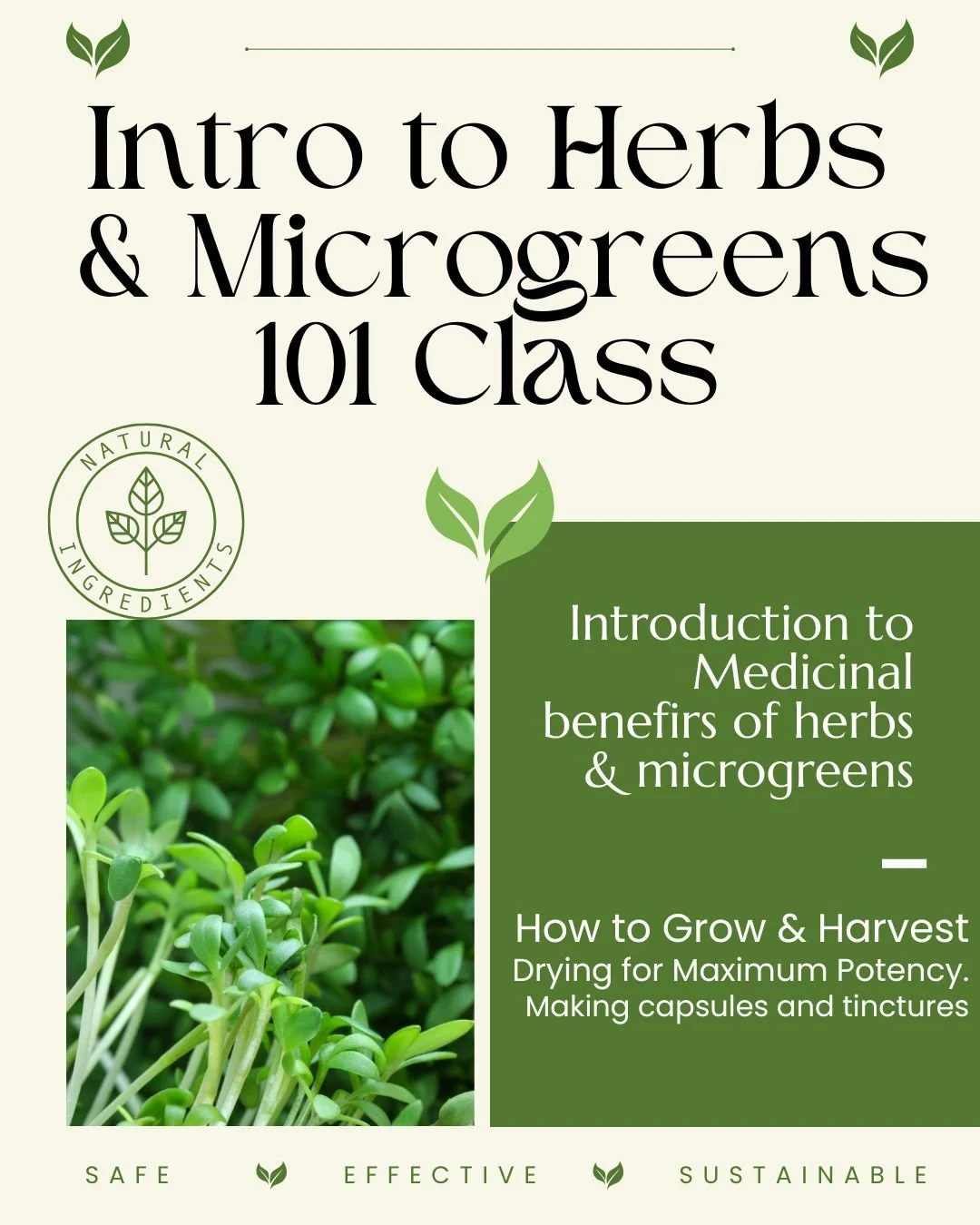 Introduction to Herbs & Microgreens