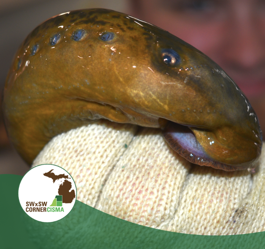 Additional Sea Lamprey Treatment Site