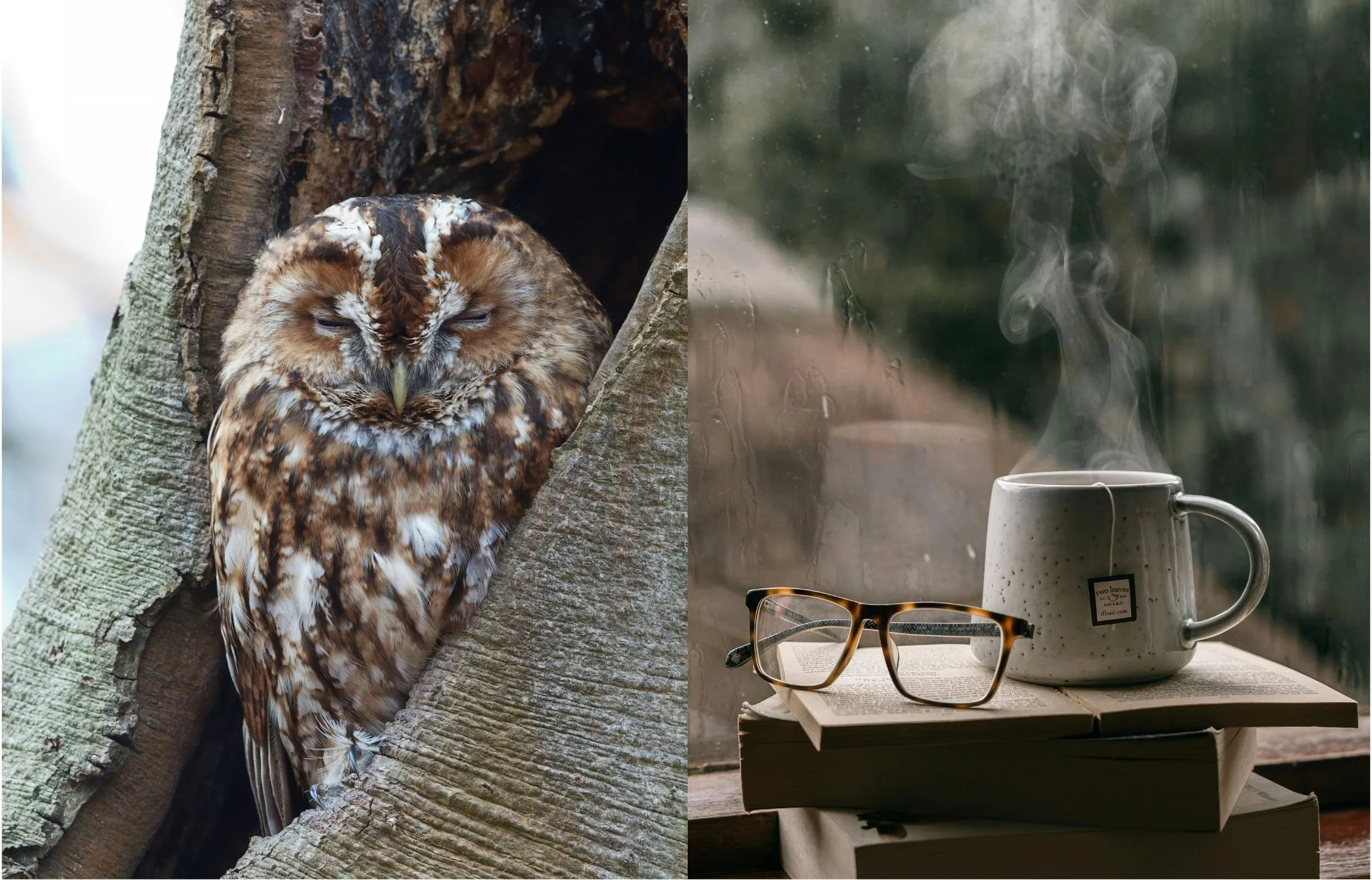 The Power of the Pause