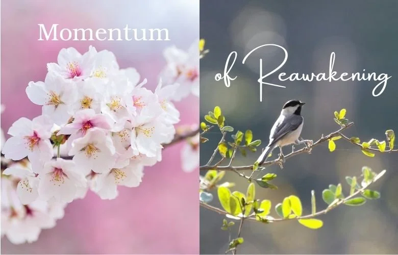 Momentum of Reawakening