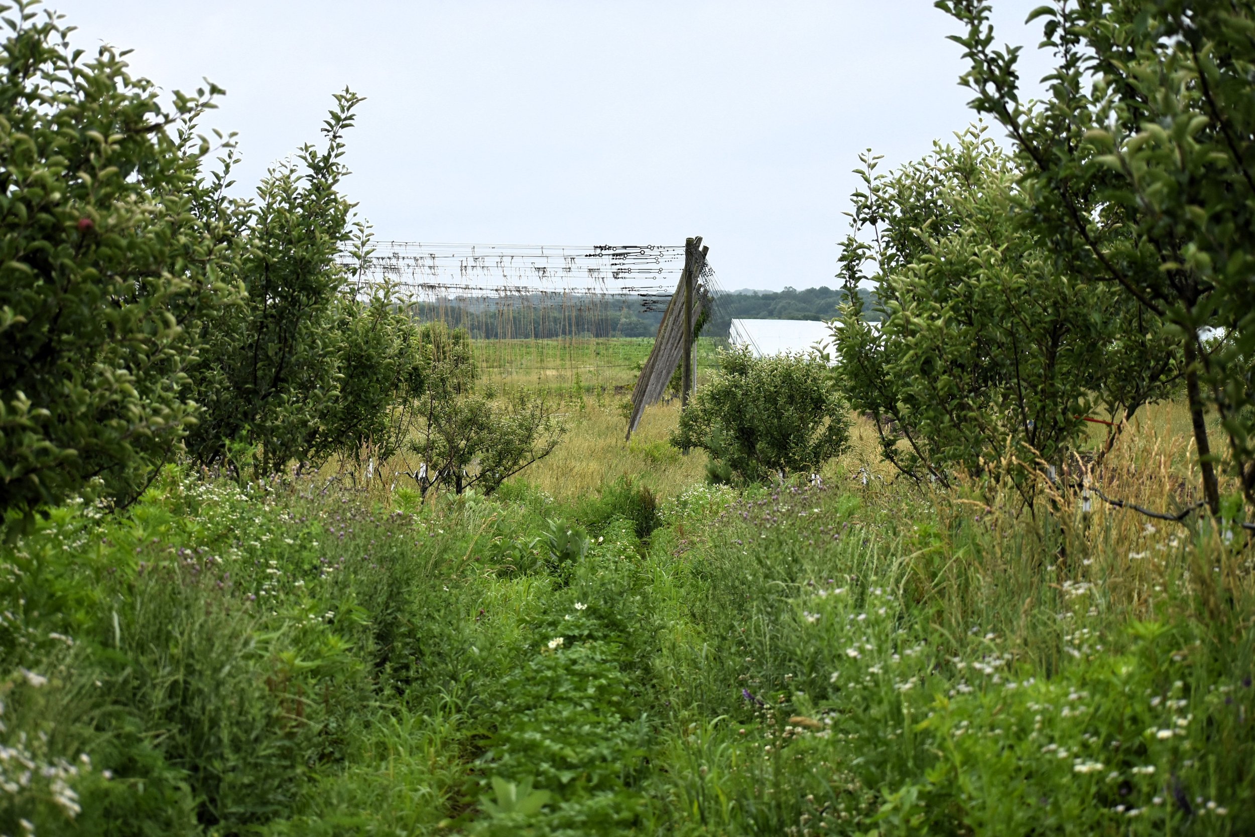 DSC_0067.JPG
