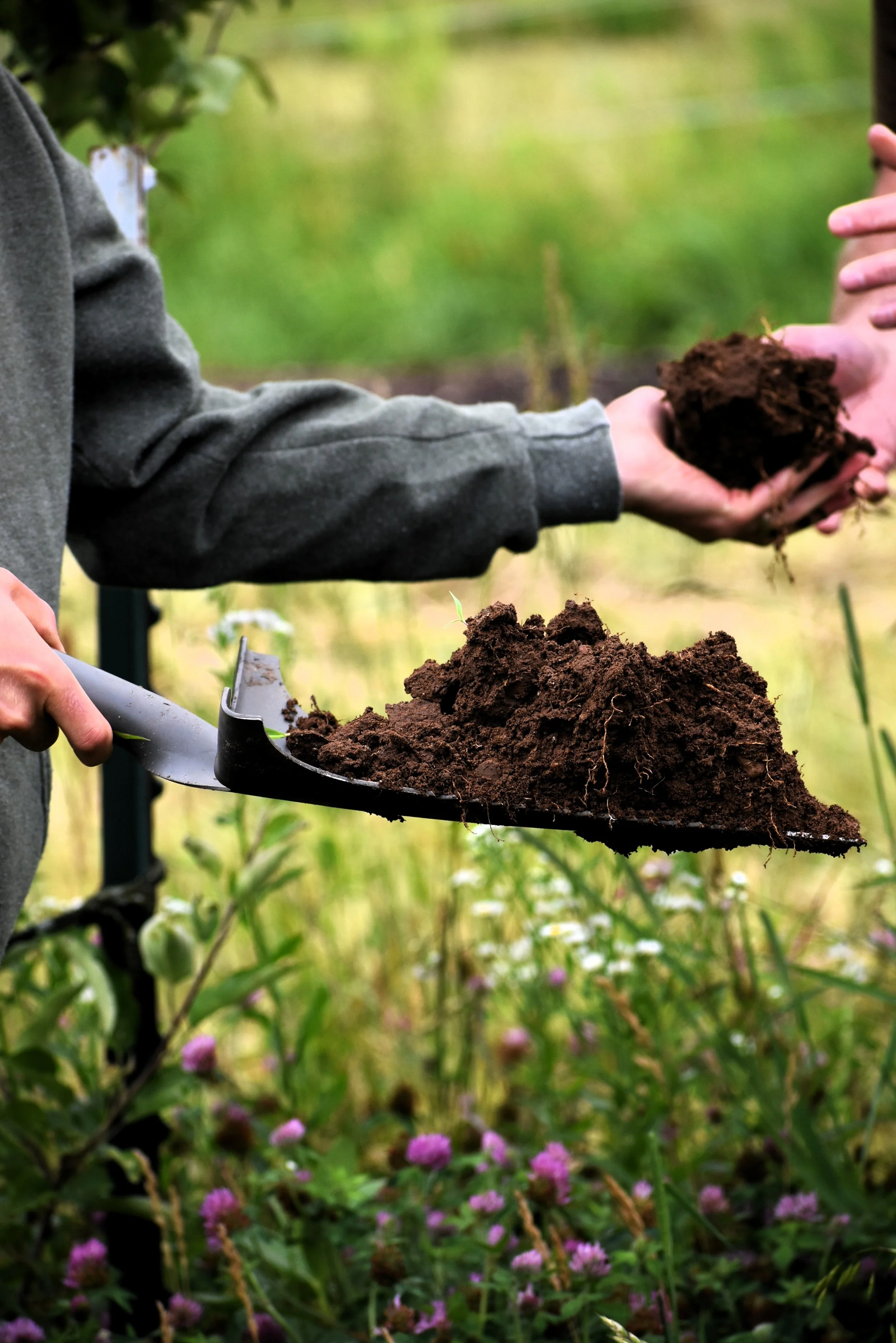 Berrien County Conservation District Hosts Successful 2026 Regenerative Agriculture Field Day