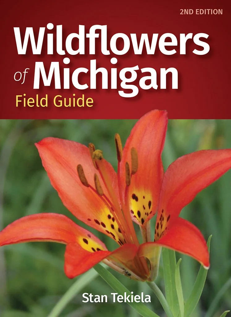 wildflowers_of_michigan_FG_2e_9781647551001_FC.jpg