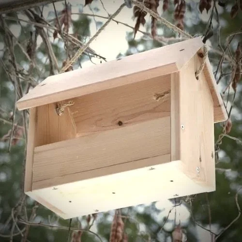 DIY Bird Feeder Workshop