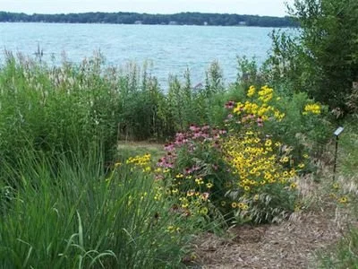 Garden Flat-Shoreline with Design Plan for a 4 x 10 ft area