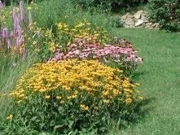 Garden Flat-Rain Garden with Design Plan for a 4 x 10 ft area