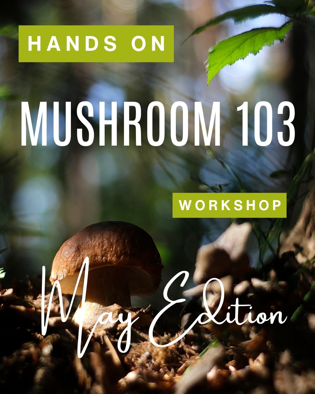 Hands-On Mushroom 103  Workshop - May