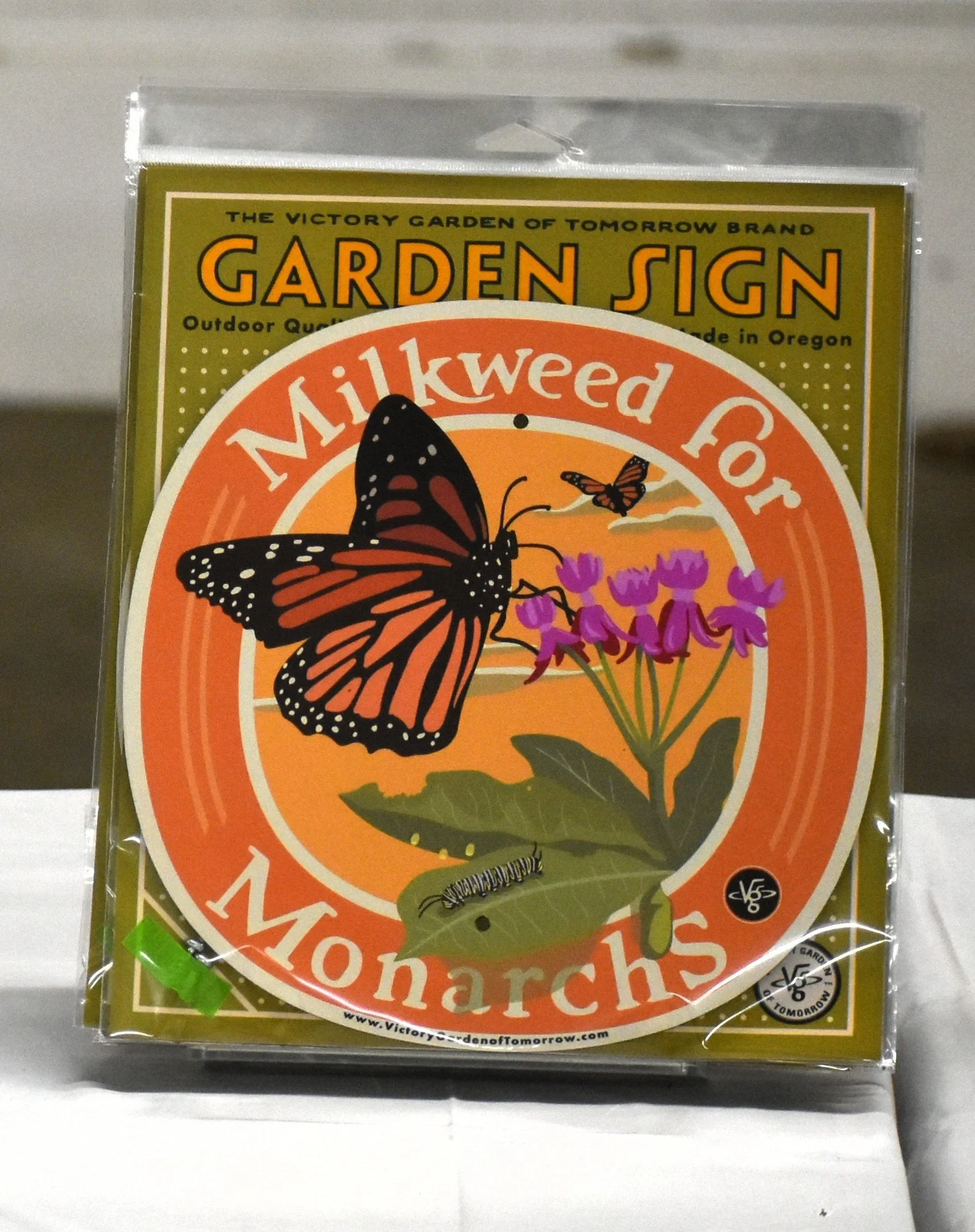 Milkweed.JPG